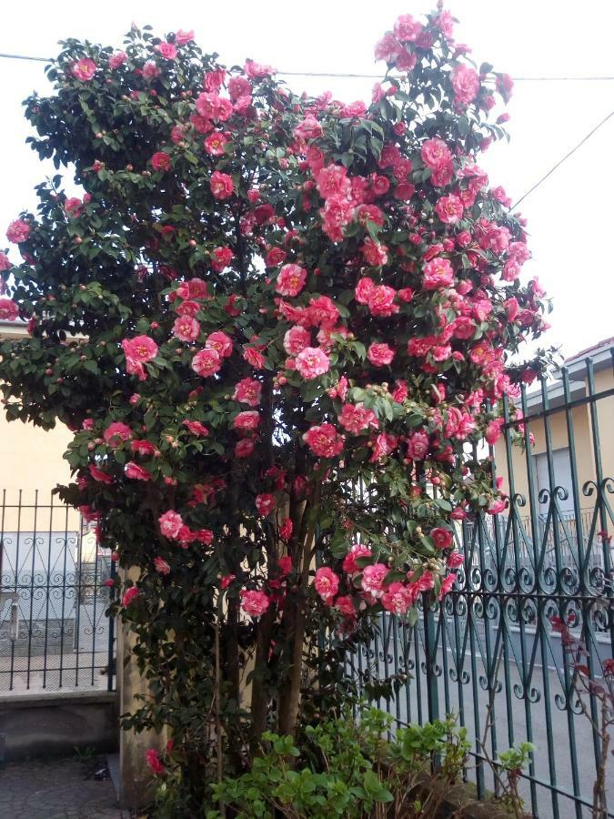 B&B Antica Corte Lombarda Mortara Exterior photo